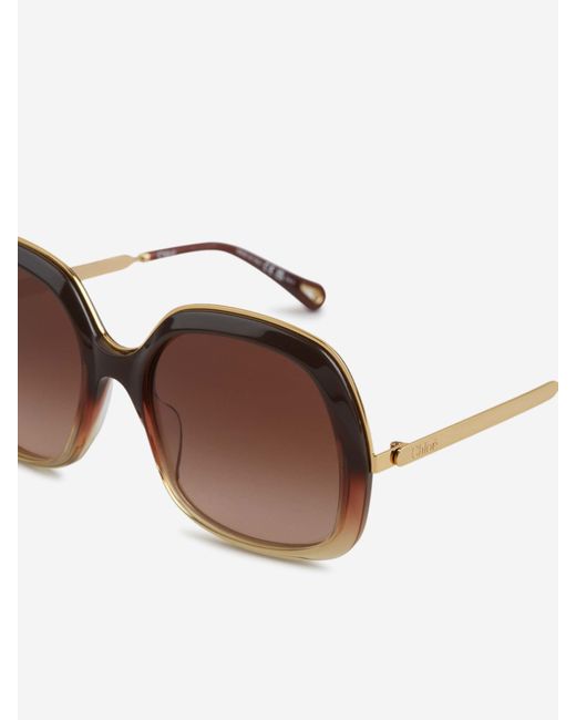 Tom Ford Brown Saffron Sunglasses