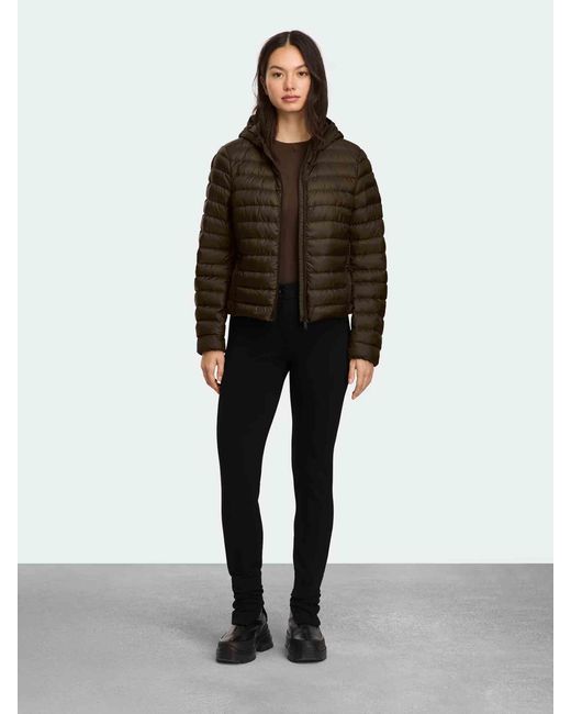 Canada Goose Brown Aethera Hoodie Tonal Disc