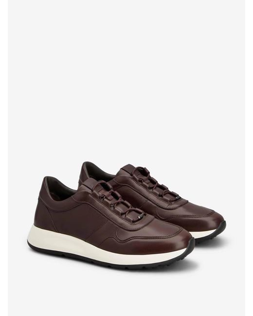 Tod's Brown Leather Sneakers for men