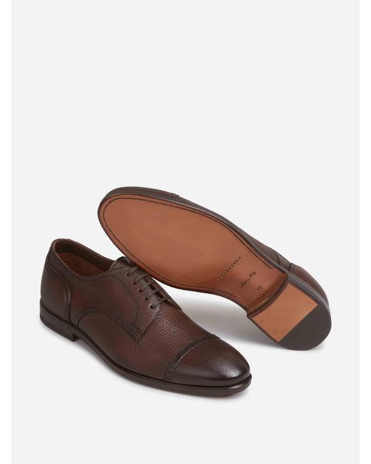 Henderson Brown Oxford Brogue Shoes for men