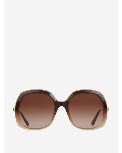 Tom Ford Brown Saffron Sunglasses