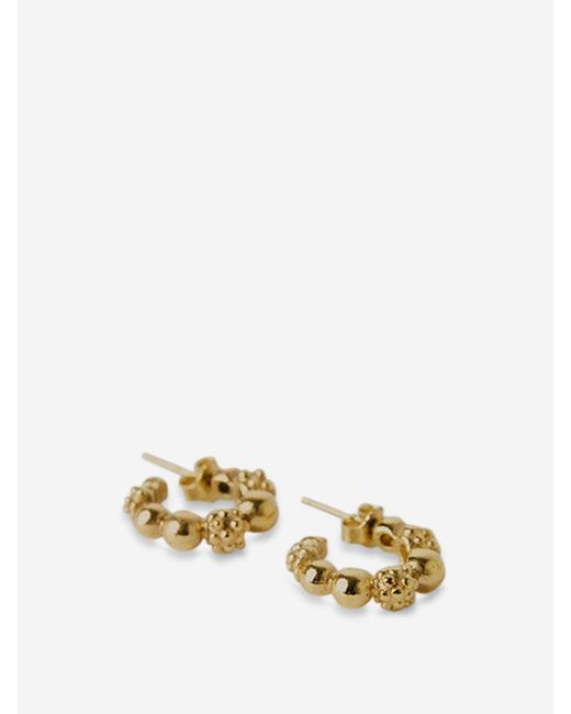 Paola Sighinolfi Metallic Silvia Hoops Earrings