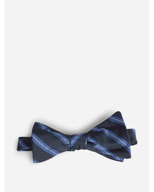 Petronius Blue Silk Striped Bow Tie for men