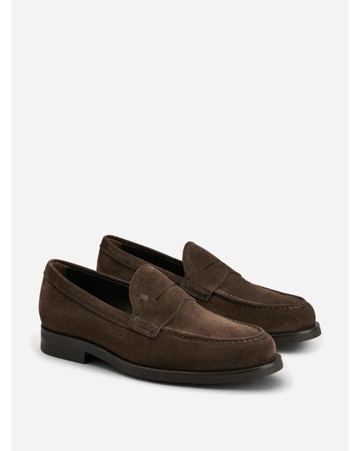 Tod's Brown Suede Loafers for men
