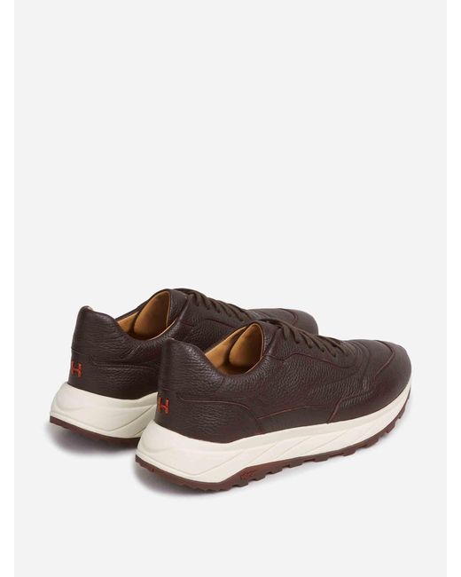 Henderson Brown Sneakers Shark for men