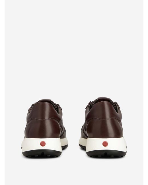 Tod's Brown Leather Sneakers for men