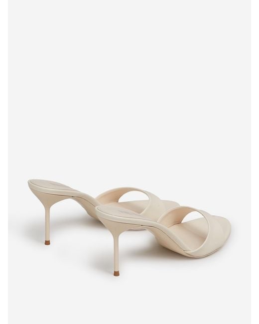 Paris Texas Natural Lidia 70 Mules