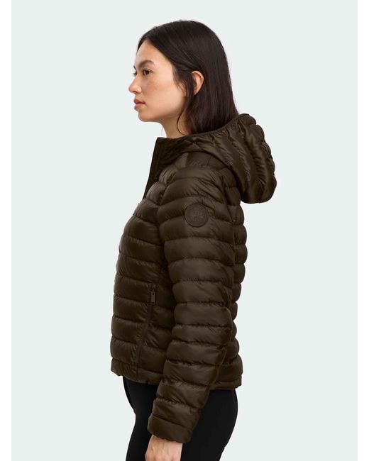 Canada Goose Brown Aethera Hoodie Tonal Disc