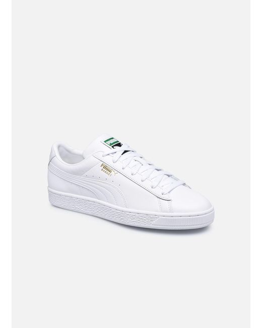 chaussure puma dessin