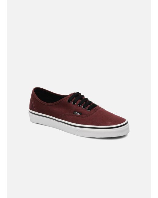vans u authentic bordeaux