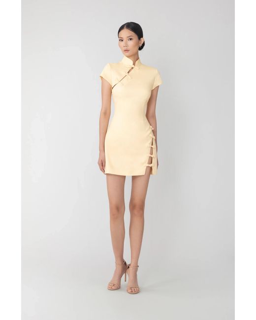 SAU LEE Natural Iris Mini Dress