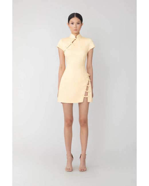 SAU LEE Natural Iris Mini Dress