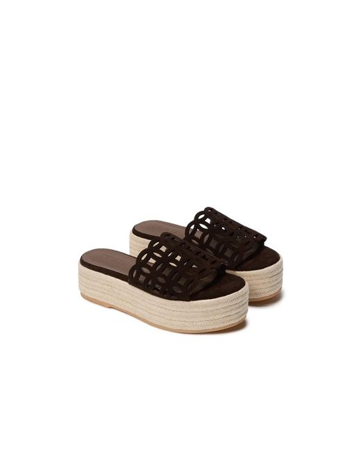 SAU LEE Brown Ming Suede Sandal