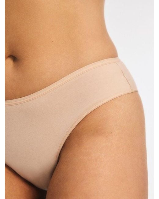 Savage X Brown Cotton Essentials Cheeky Knickers