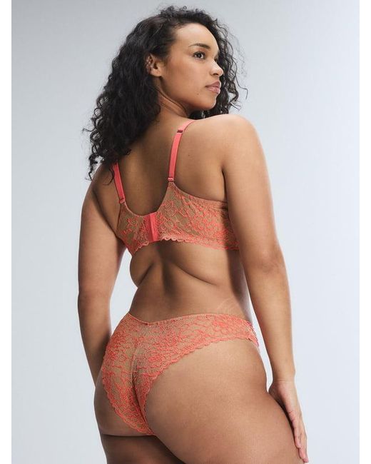 Savage X Multicolor Keepsake Lace Unlined Demi Bra