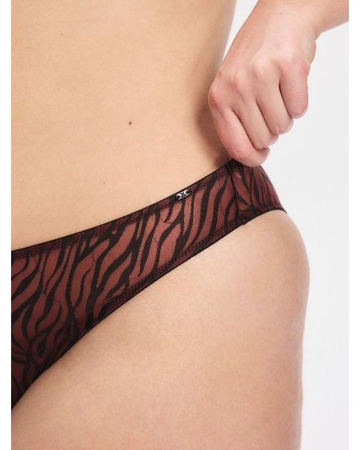 Savage X Brown Untamed Lavish Lace High-leg Bikini Knickers