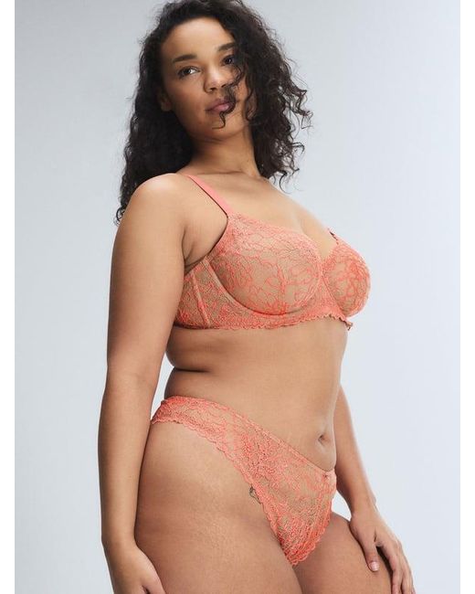 Savage X Multicolor Keepsake Lace Unlined Demi Bra