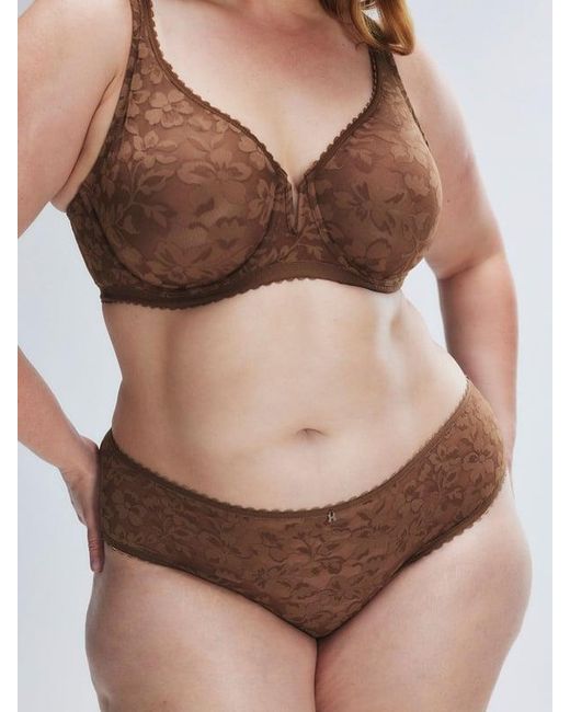Savage X Brown Lavish Lace Hipster Panty