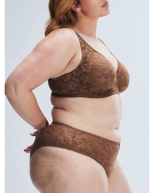Savage X Brown Lavish Lace Hipster Panty