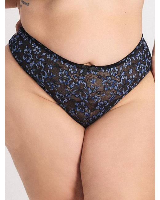 Savage X Blue Deep Sea Lace Hipster Knickers