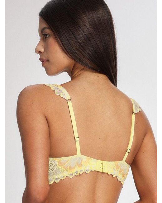 Savage X Brown Daisy Riot Lace Lightly Lined Plunge Bra