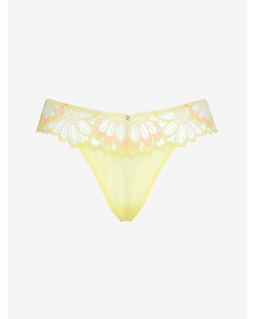 Savage X Orange Daisy Riot Lace Thong Panty