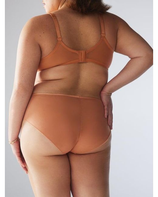 Savage X Brown Sheer X Cheeky Knickers