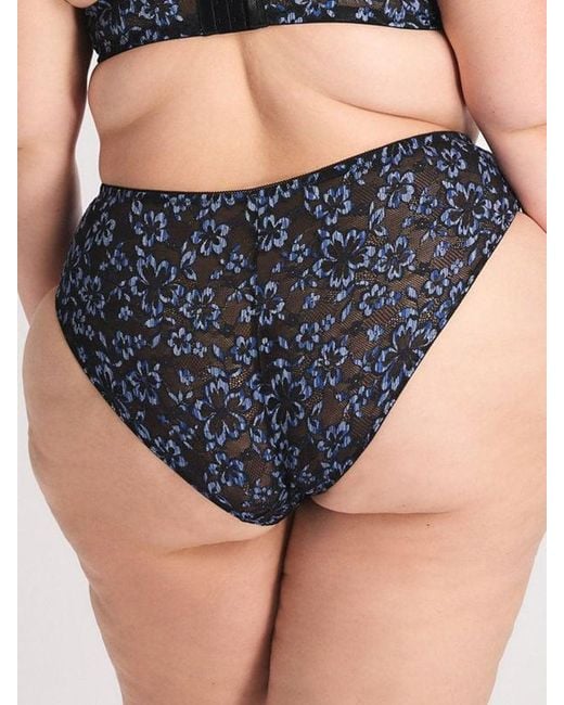 Savage X Blue Deep Sea Lace Hipster Knickers