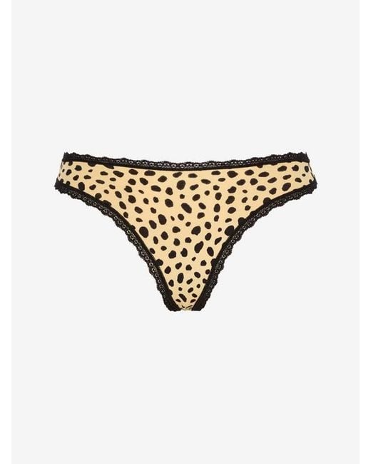 Savage X Brown Cotton Essentials Lace-trim Mid-rise Thong Panty