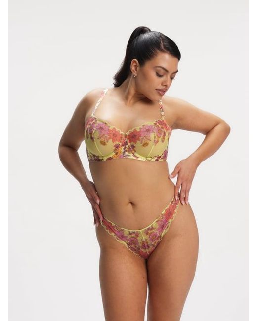 Savage X Multicolor Mod Poppy Unlined Lace Balconette Bra