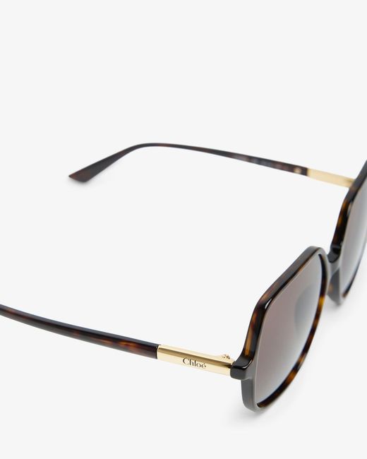Chloé Judy L Havana Brown Sunglasses
