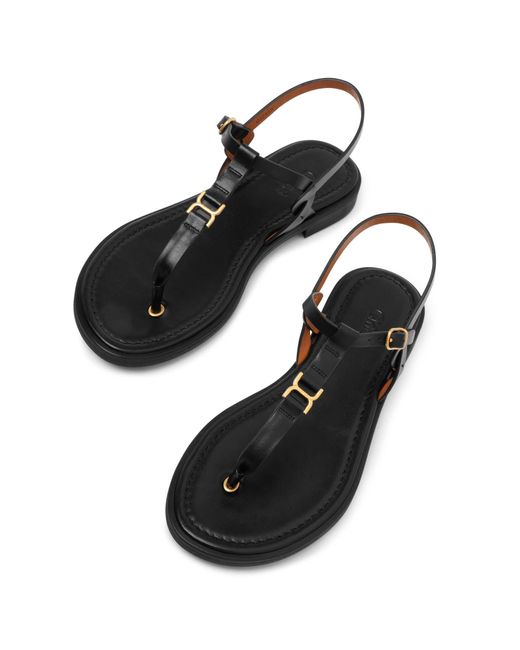 Chloé Brown Marcie Black Leather Flat Sandals