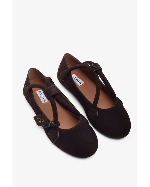 Alaïa Black Teckel Brown Suede Ballet Flats