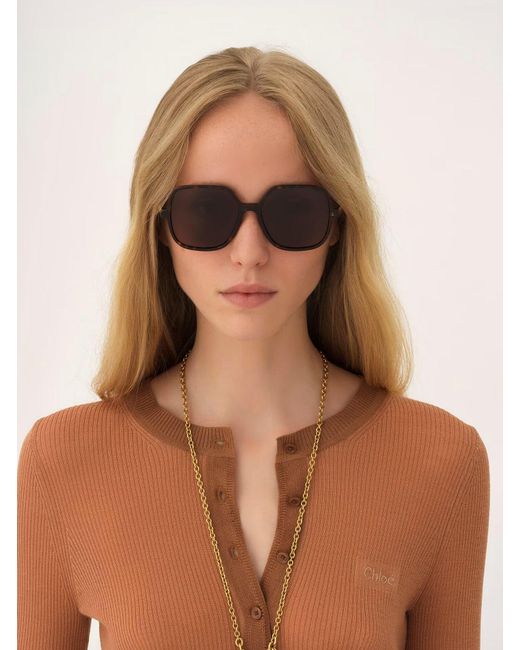 Chloé Judy L Havana Brown Sunglasses