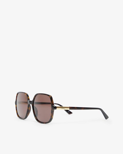 Chloé Judy L Havana Brown Sunglasses