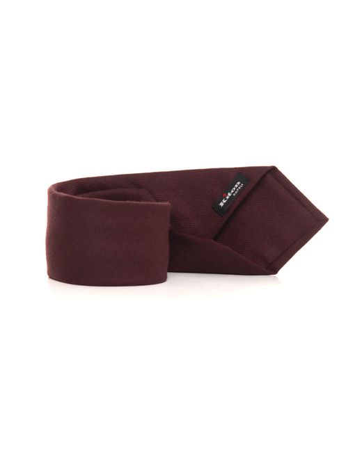 Cravatta di Kiton in Purple da Uomo