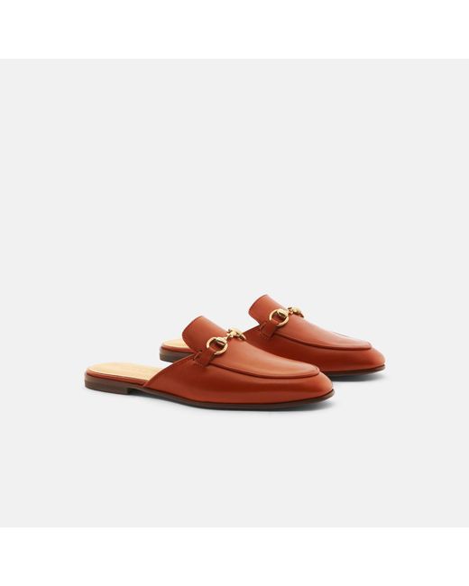 Scarosso Brown Serena Cognac
