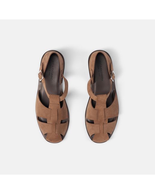 Scarosso Brown Apollo Taupe Suede for men