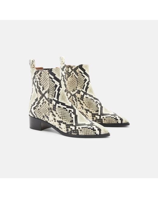 Scarosso Black Olivia Python