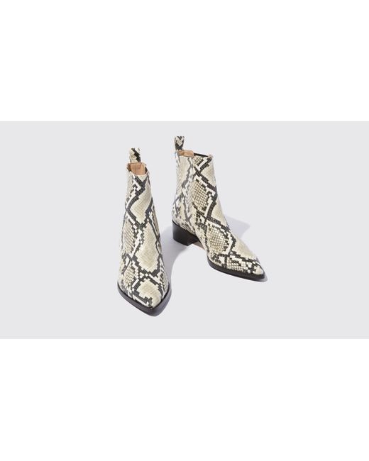 Chelsea Boots Olivia Python Veau imprimé python Scarosso en coloris Black