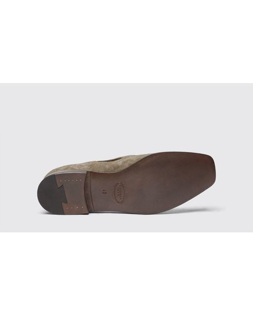 Scarosso Black Rodolfo Taupe Suede Loafers for men