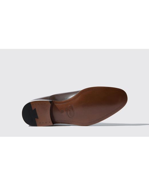 Scarosso Brown Oxfords Giove Marrone Calf Leather for men