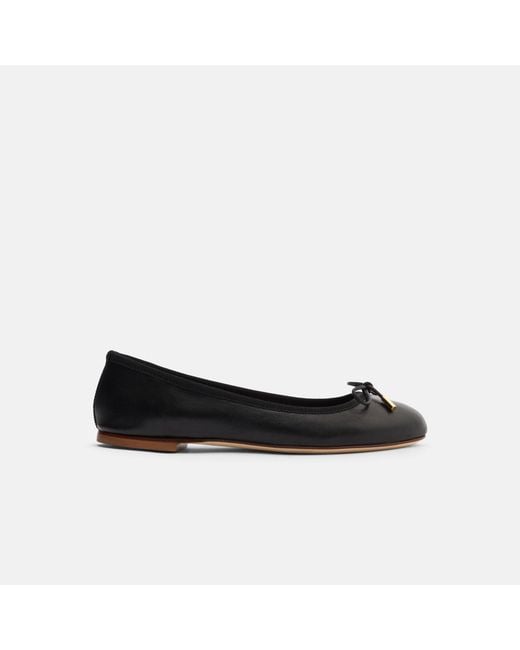 Scarosso Black Carla White Edit Ballerinas