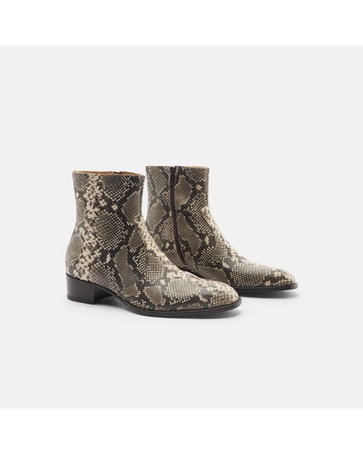 Scarosso Brown Warren Python for men