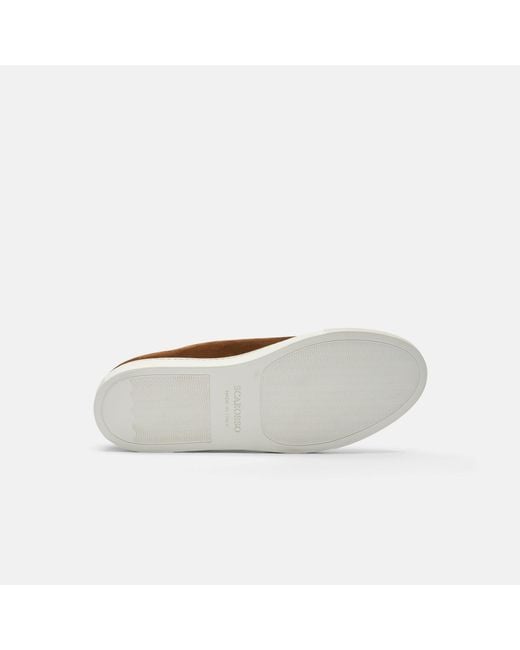 Scarosso Brown Ugo Suede for men