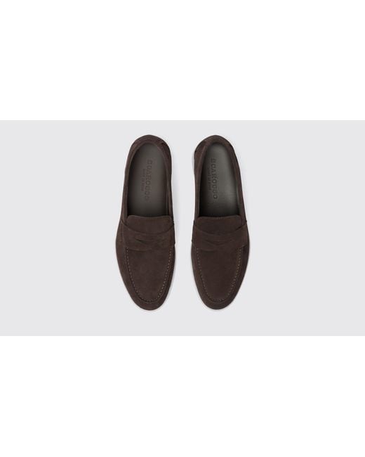 Scarosso Black Luciana Brown Suede Loafers