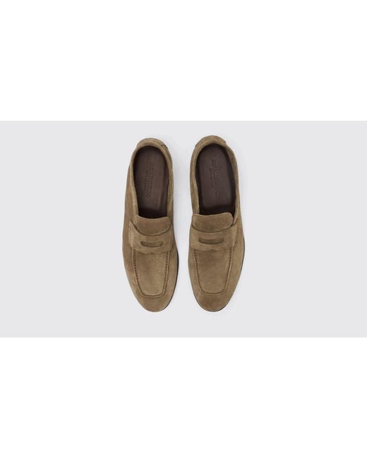 Scarosso Black Gregory Taupe Suede Loafers for men
