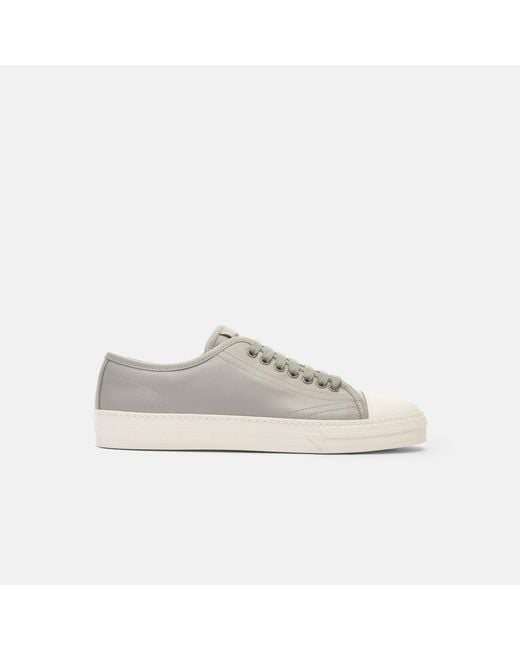 Scarosso Black Ambrogio Grey Sneakers for men