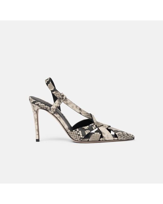Scarosso Metallic Athena Python