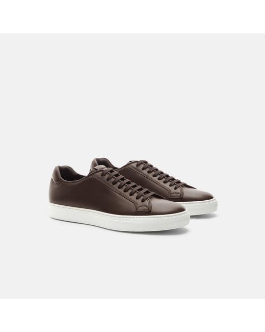 Scarosso Brown Ugo Dark for men